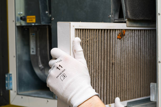 Best Air Duct Sanitizing Services  in South Deerfield, MA